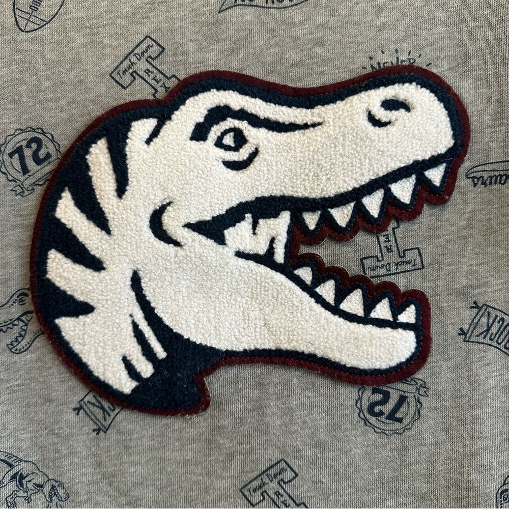 Boys’ Dinosaur sweatshirt New with Tags size 10 with  cute plaid elbow patch - Picture 7 of 7